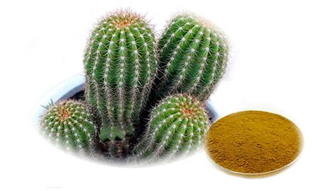 Hoodia with Gordon Reduslim